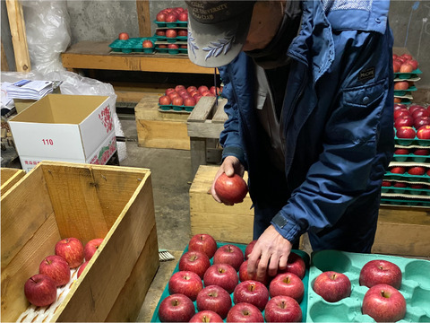 ”お得” 果汁たっぷり特別栽培りんご「ふじ」（家庭用訳あり・5㎏）