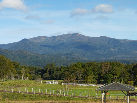 【新米】7年産 ひとめぼれ 玄米10キロ 柿渋袋 宮城県栗原市産