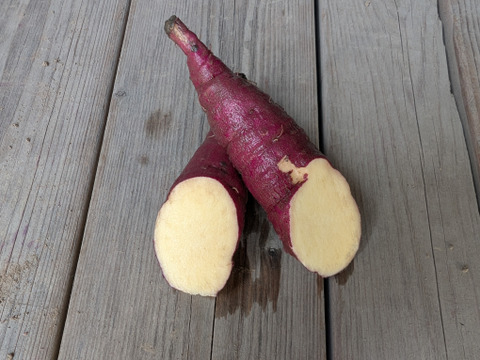 さつまいも２種セット(各1kg)【漢方栽培】