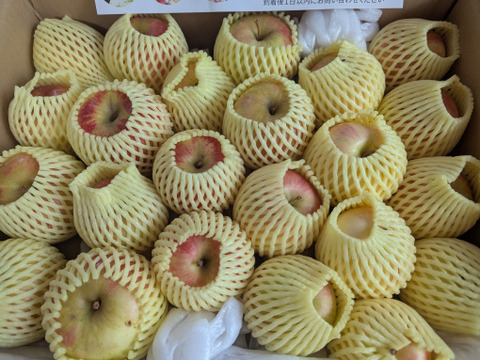家庭用】夏あかり 約4kg(12-25玉) シーズン最初のサッパリとした