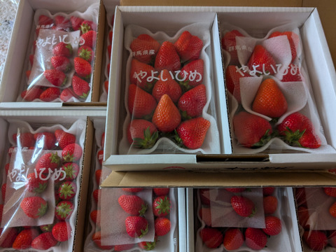 大粒も小粒も食べた～い💞やよいひめ『群馬いちご』320g×4トレー