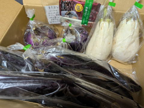 訳あり🍆とろけるナス3種類セット❗️【約2.5キロ】