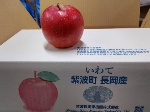 【岩手・紫波長岡果樹園】🍎いわて産特別栽培「サンふじ」5kg（家庭用16玉）