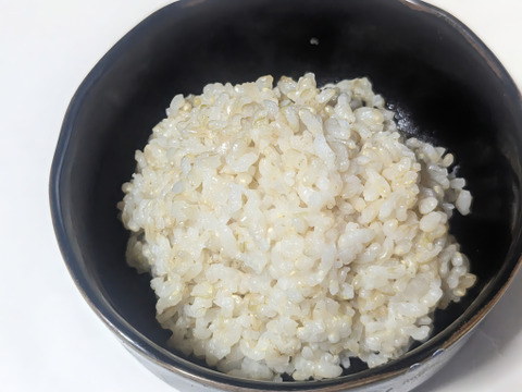 訳有ユメピリカ (4部搗き）　５㎏