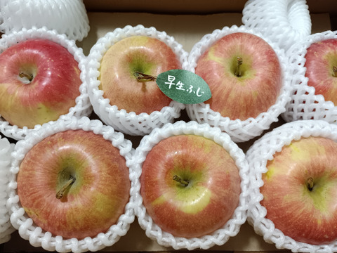 【人気品種】🍎早生ふじ約3キロ🍎8〜12玉《家庭用》ID284719