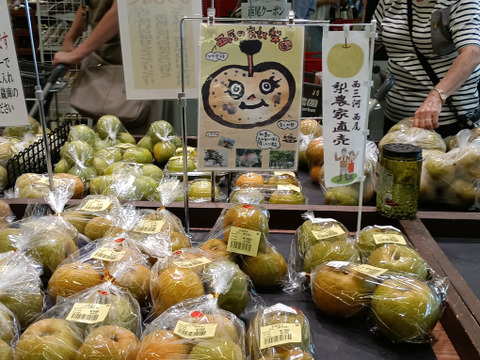 糖度13以上 BIGサイズ美味しい豊水梨5㎏箱 8～12個入り