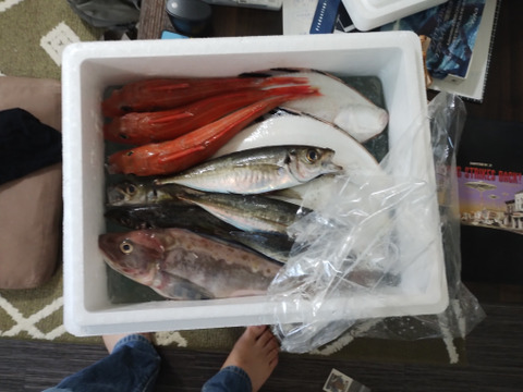 手間いらず深海魚唐揚げ 5点セット | TSUNAGU STORE
