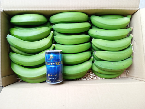 【農薬・化学肥料】幻の品種グロスミシェル！！国産バナナ プチサイズ5kg【栽培期間中不使用】