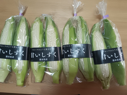 【朝どれ】生でも食べられる！フルーツみたいな極甘　白いとうもろこし『甘いしずく』