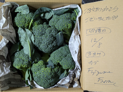 【予約販売】赤城の寒締めブロッコリー！12コ入り(約3.9kg）※群馬県特別農産物認証基準準拠