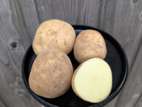 《規格外》小玉サイズ！２KG  品種ニシユタカ 五島列島産 自然農業での栽培