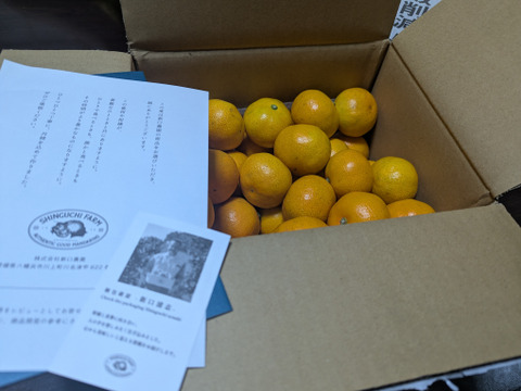 愛媛みかんの老舗厳選【小玉】『濃厚な旨みがギュッと凝縮』みかん 2.5kg 愛媛県川上産【冬ギフト】