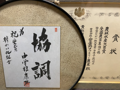 りんごグランプリ2025最高金賞1位🎊 サンふじ3キロ箱 A品B品ミックス 6玉から14玉程度 商品ID76092 長野県 信州 安曇野 リンゴ 幻 幻のリンゴ 予約 希少 旬 甘い