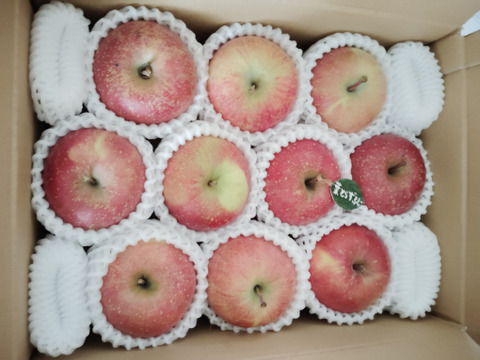 ★★新春セール★★【冬ギフト】 🍎レビュー数1800件突破！！《家庭用》青森完熟葉とらずふじ８〜１２玉(約３kg)🍎ID119812
