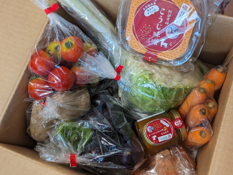 福島県から旬の美味しいお野菜をお届けします　ギフトや贈答用にもピッタリ