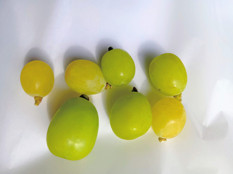 訳あり シャインマスカット(バラ2kg)：山梨県産のシャイン