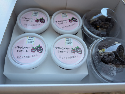 【冬ギフト】爽やか！ブラックベリージェラート４個と冷凍ブラックベリー200gのセット