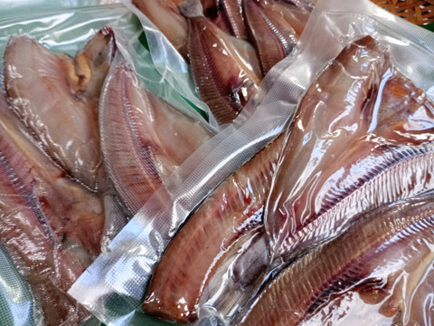 【冷凍】山形県庄内沖　ホッケ干物詰め合わせ　２パック