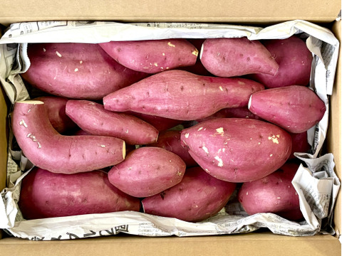 訳ありでもホックリサラリ！新品種「ゆきこまち」色々なサイズ入り  5キロ箱