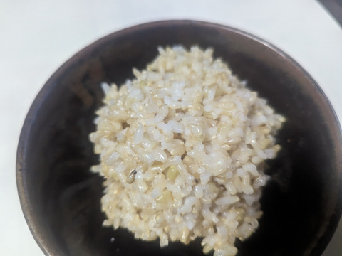 自然乾燥　ななつぼし玄米　30㎏