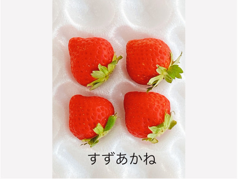 🍓完熟いちごを使いじっくり時間をかけて仕込んだ【苺屋佐藤のいちご酢】180ml  いちご加工品　清涼飲料水