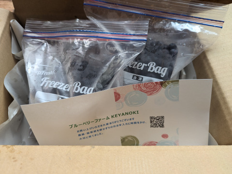 【クール代サービスです！】冷凍ブルーベリー1kg