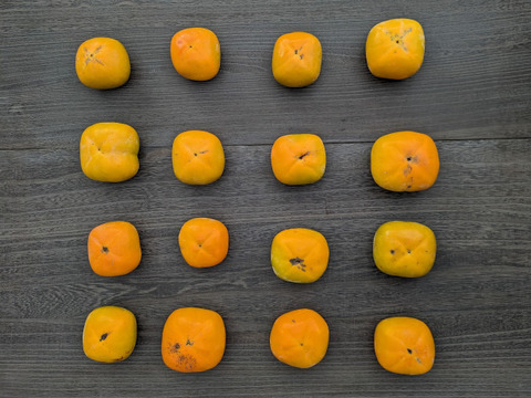 上品な舌触り＊たねなし柿＊【訳あり】中箱中玉（L/2L）約5kg