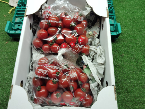 赤い宝石　ミニトマト『サンチェリーピュア』　1㎏（500gX
2袋 　約5パック分）