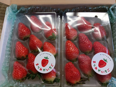 甘くてたまらん！！旬のイチゴセット(4パック)