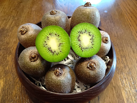 【大きさ不揃い、日焼け・扁平含む】キウイフルーツ（ヘイワード）ご家庭用・1.5kg