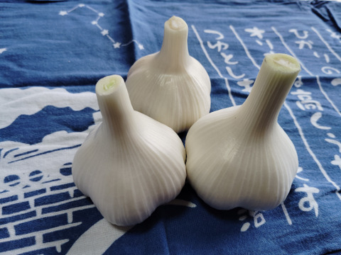 青森県十和田市産　天日干しにんにくも入ります　「おひさま便！野菜セット」