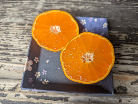 まる美の果汁たっぷり完熟温州みかん5kg以上【訳ありジュース用】