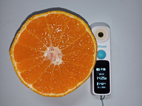 【柑橘食べ比べ】和歌山県産　不知火　ポンカン　ネーブル 3品種 15個 約2.5kg 初春の柑橘詰め合わせ　【農薬節減】