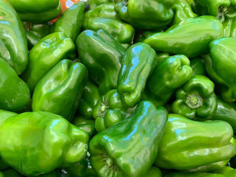 【バーベキューに…】とうもろこしとピーマンセット！