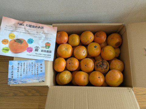 ☆彡秋の大豊作祭☆彡和歌山県かつらぎ町産富有柿(加工用)全サイズ10kg。