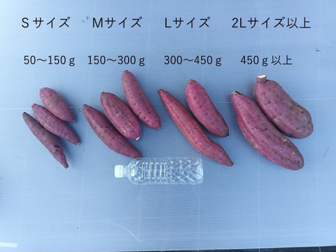 自然熟成 鹿児島産 紅はるか 10kg Lサイズ：鹿児島県産のべにはるか