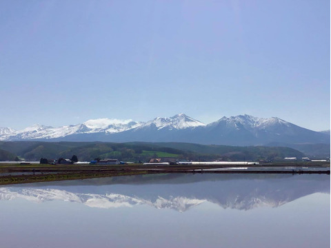 令和7年度 富良野産 ゆめぴりか 玄米 5kg