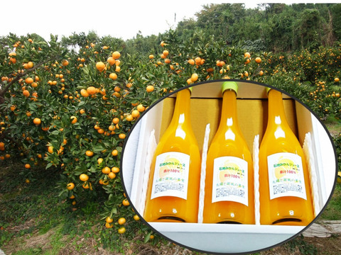 《果汁100％糖度：13.9》ひめまる・石地みかんジュース720ml×３本