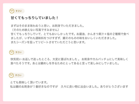 【お祝いやおもてなしに】深い旨味と優しい甘味のブランド真鯛♪ボリュームたっぷり！幸せの口溶け♬＜３枚おろし皮あり＞