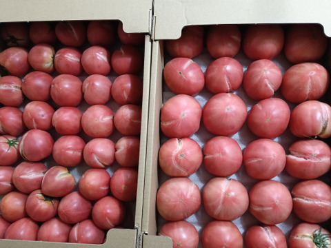 今だけ特別出品。大きさバラバラ裂果2箱（約3〜4K入×2）