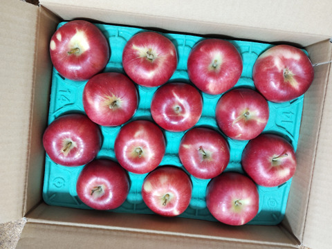 【幻の小玉第1弾】シナノプッチ3キロ箱 新しい定番 〜21 商品ID41124 長野県 信州 安曇野 リンゴ 幻 幻のリンゴ 予約 希少 旬