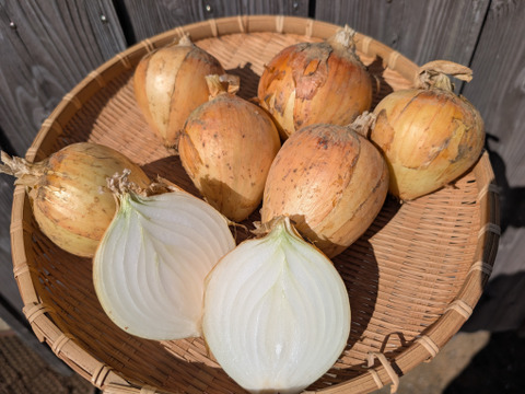 《バリうまっ！》こばさんちの玉ねぎ２KG 五島列島産 自然農業での栽培