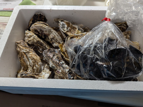 【期間限定10％OFF中】生食用２ｋｇ 殻付き 牡蠣 （14~30粒）牡蠣 殻付き牡蛎 牡蛎 kaki かき カキ 松島牡蠣屋 BBQに貝類 海産物 オイスターoyster