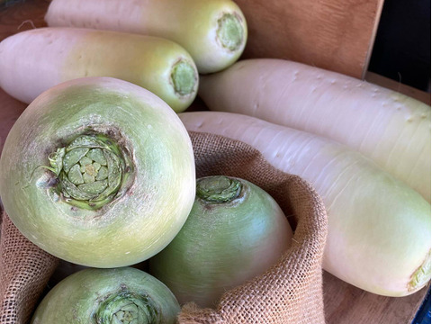 安心・安全なこだわり根菜セット　４種類　８０サイズ