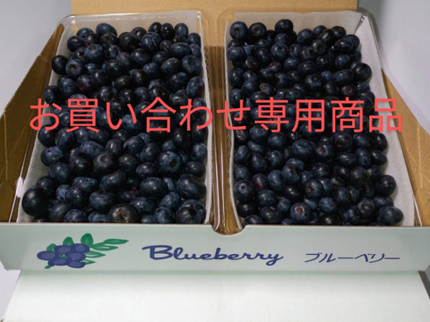 【お買い合わせ専用】箱を重ねますので潰れる可能性をご了承下さい！☆訳あり品をお値打価格で！☆大容量！
☆ジャム・スムージー最適♪『ひらかの里のブルーベリー』生
☆無選別（1㎏）