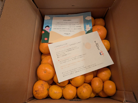 【訳あり】濃厚なコクと酸味がおいしい！有田みかん★早生★自家製堆肥栽培★大満足10kg★和歌山