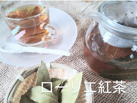 ローリエ月桂樹の生葉または乾燥葉 30枚🌿ハーブ🌿オーガンジーの袋入り♪ シチュー等のお料理に ハーブティーに お風呂に リースやスワッグの材料に☆自然栽培🏣ゆうパック