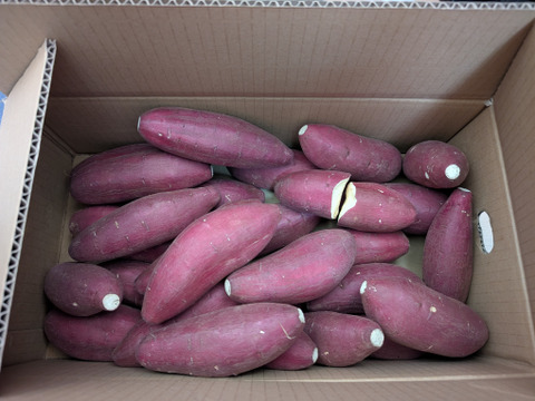 日本さつまいもサミット2023-2024最高栄冠受賞・髙鍋農園ブランド”おいしさの極み”紅琥珀スイート®は畑から収穫した天然スイーツ❗上品な甘さが最高に美味しいスイーツ😋たっぷり５㎏【阿蘇西原産】