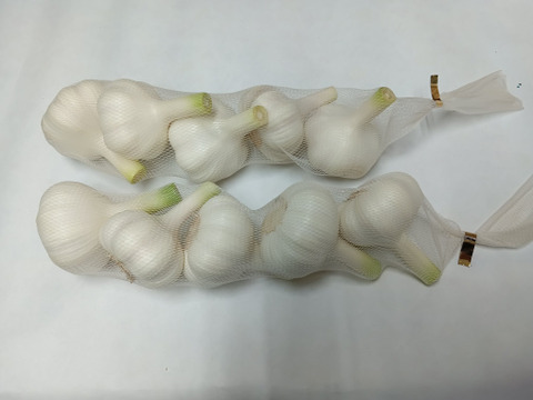 新にんにく】期間限定 みずみずしく『フレッシュな香り』重量約