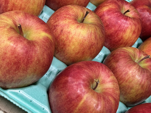 まさゆめ🍎家庭用約4.5Kg　在庫限り　ふじの子供　希少品種　新品種　果汁たっぷり　流行の先取り　青森県産　数量限定